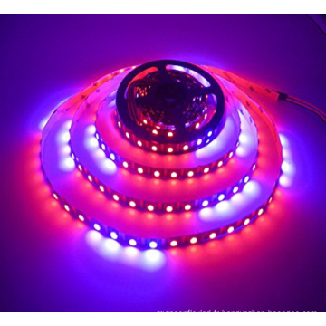 DC5V 5M WS2813 5050 RVB Magic couleur 300 LED bande Remplacer WS2812B Dual Data Adressable